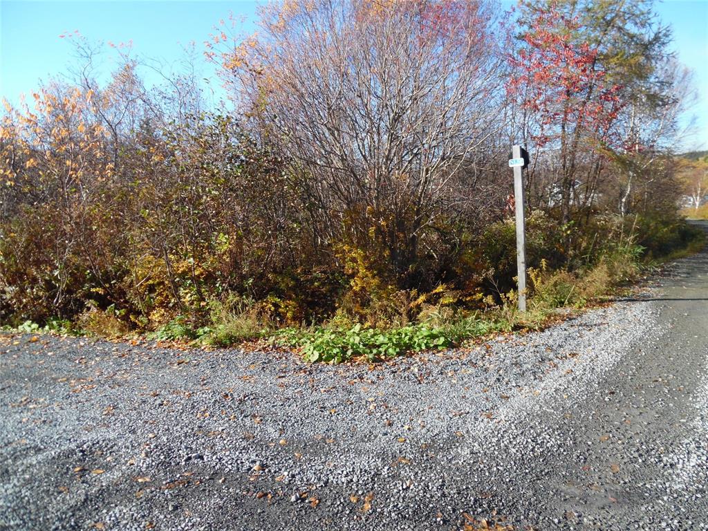 Land in Clarenville 2