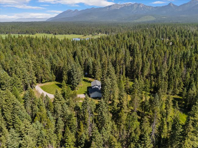 Aerial view of a forest and mountains | Image 49