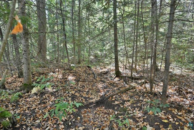 Lot 1 County Highway C, Home with 0 bedrooms, 0 bathrooms and null parking in Cornucopia WI | Image 11