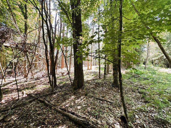 0 Crowningshield Rd, Home with 0 bedrooms, 0 bathrooms and null parking in Wilmington NY | Image 4
