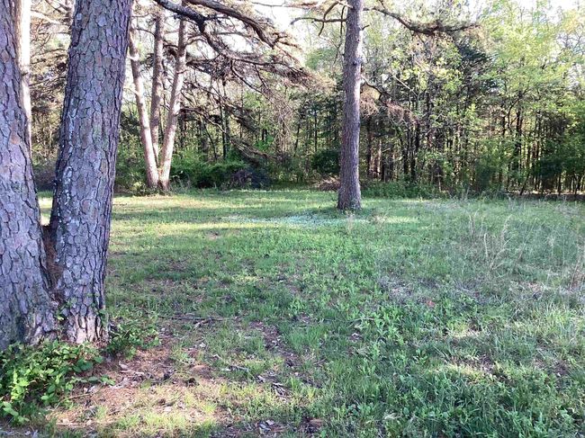 195 Pine Ridge Rd, House other with 3 bedrooms, 2 bathrooms and null parking in Rose Bud AR | Image 10