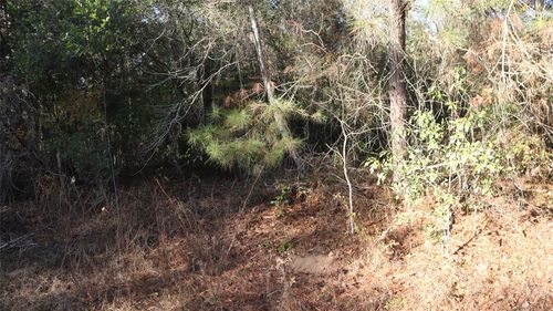 0 Pin Tail Dr, Coldspring, TX, 77331 | Card Image