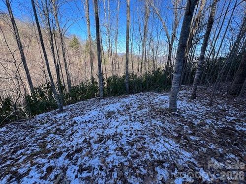 621 Round Top Rd, Almond, NC, 28702 | Card Image