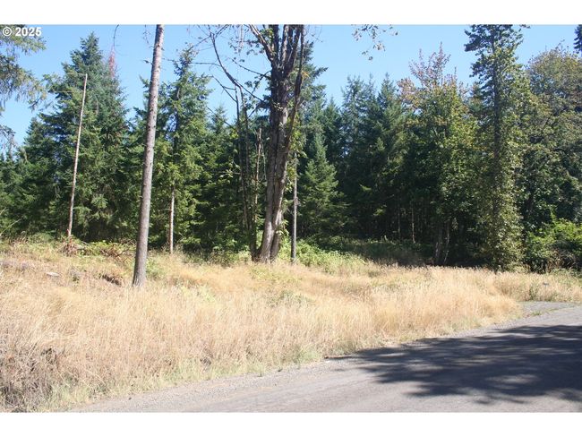 3647 Briar Knob Loop Ne, Home with 0 bedrooms, 0 bathrooms and null parking in Scotts Mills OR | Image 20