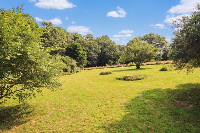 161 Old Harbor Rd, Home with 0 bedrooms, 0 bathrooms and null parking in Little Compton RI | Image 5
