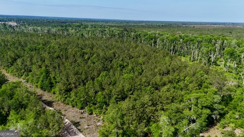 0 Tillman Cementery Road, Lumber City, GA, 31549 | Card Image