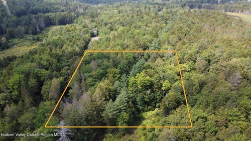 Tbd Stone St, Haines Falls, NY, 12436 | Card Image