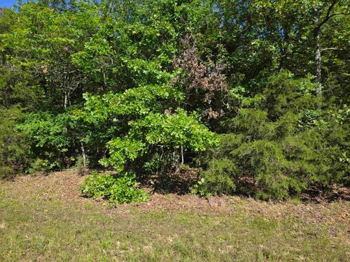 L-52 Barnes Rd, Evening Shade, AR, 72532 | Card Image
