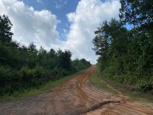 TBD N County Road 394, Tatum, TX, 75691 | Card Image