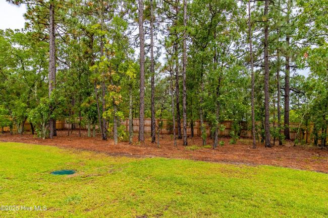 137 Sakonnet Trl, House other with 4 bedrooms, 3 bathrooms and 2 parking in Pinehurst NC | Image 51