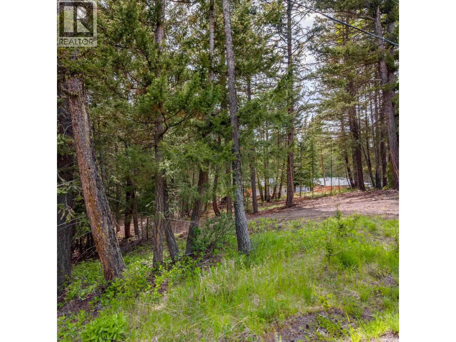 Land in Horse Lake 2