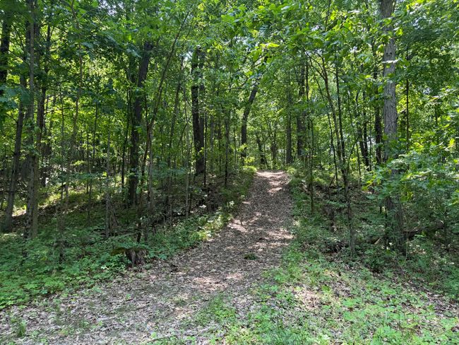 6458 Richardson Rd, Home with 0 bedrooms, 0 bathrooms and null parking in Howell MI | Image 37