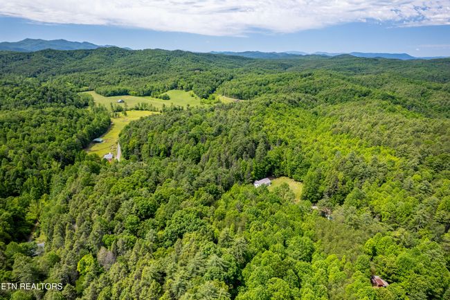 000 Cane Creek Mountain Rd, Home with 0 bedrooms, 0 bathrooms and null parking in Tellico Plains TN | Image 24