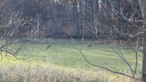 Lt2 S Clark St, MAYVILLE, WI, 53050 | Card Image