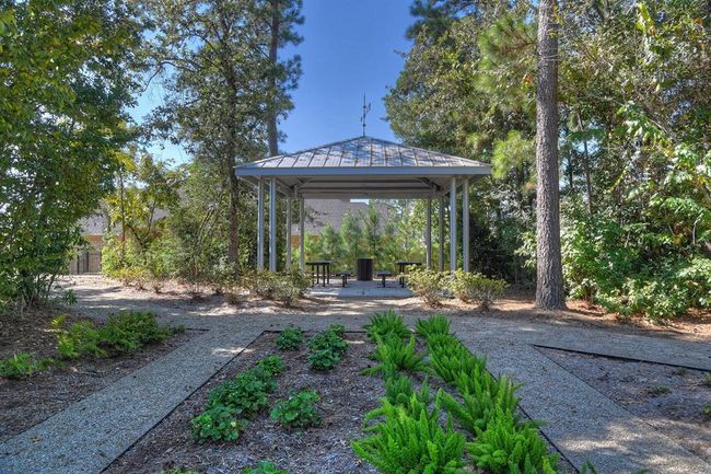 Picnic areas. | Image 41