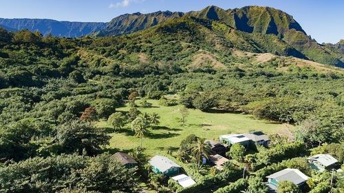 7143 Alamihi Rd, HANALEI, HI, 96714 | Card Image