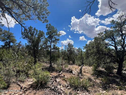 109 Off Of Twin Fawn Lane, Ash Fork, AZ, 86320 | Card Image