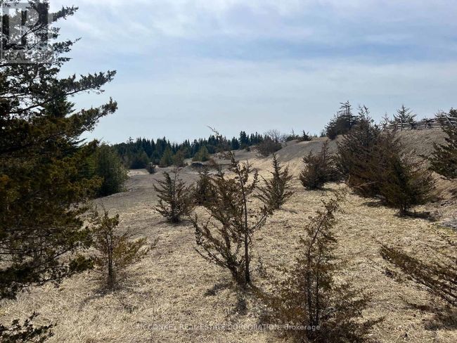 00 County Rd 13 E, Home with 0 bedrooms, 0 bathrooms and null parking in Hastings ON | Image 8