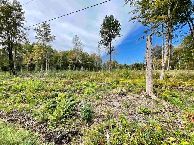 2209 Underpass Rd, Home with 0 bedrooms, 0 bathrooms and null parking in Sutton VT | Image 15