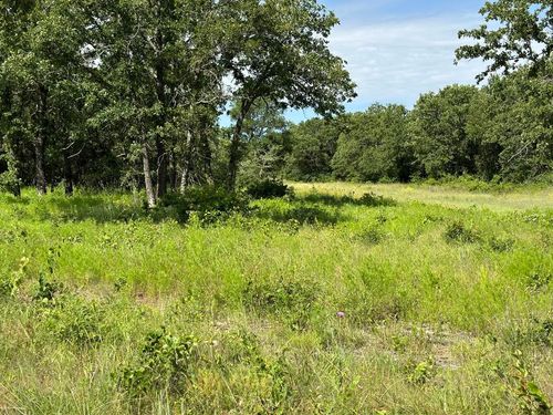 Lot 79 Paradise Oaks, Perrin, TX, 76486 | Card Image