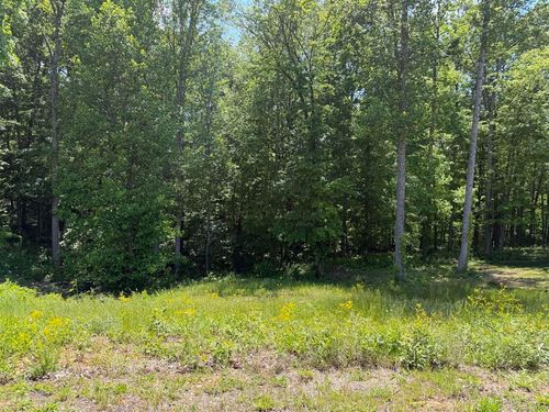 Lot 17 Vance Dr, Scottsville, KY, 42164-6315 | Card Image