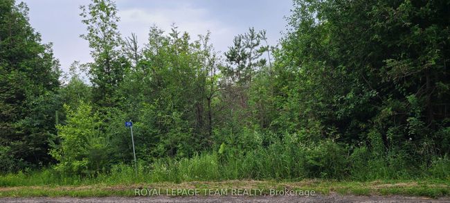 1194 Pioneer Rd, Home with 0 bedrooms, 0 bathrooms and null parking in Merrickville ON | Image 5