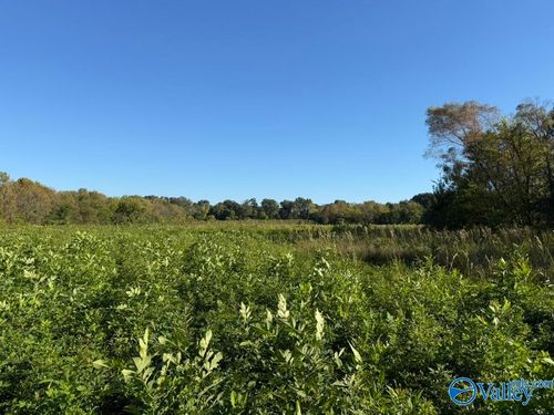 10.55 Acres Alabama Highway 67, Somerville, AL, 35670 | Card Image