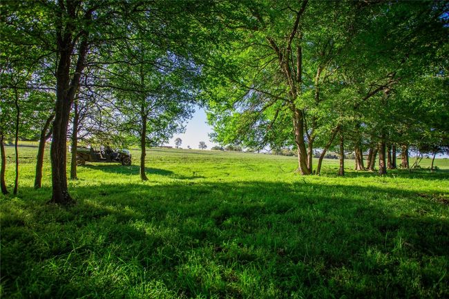 View of grassy yard featuring a rural view | Image 6