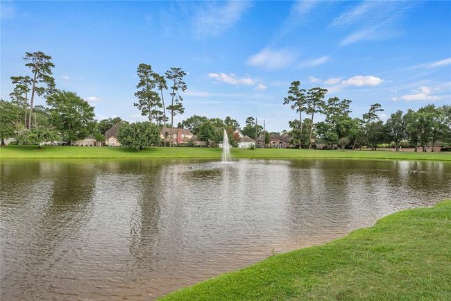 16610 Champagne Falls Ct, House other with 4 bedrooms, 5 bathrooms and 2 parking in Spring TX | Image 44