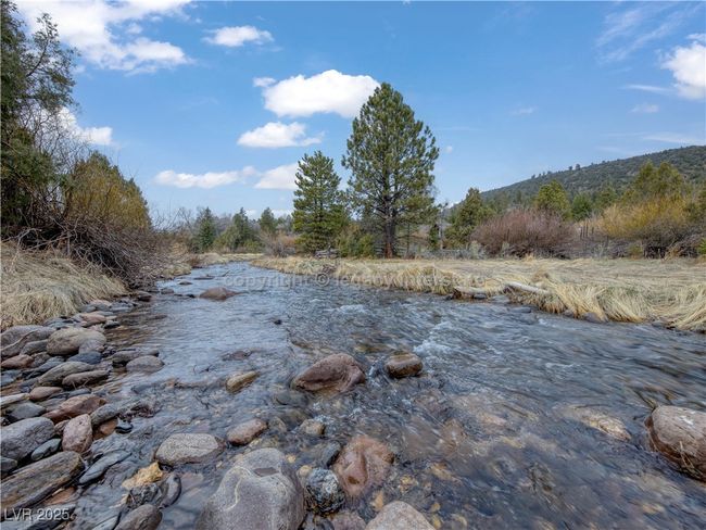 View of local wilderness | Image 47