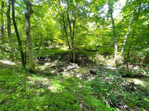 0 Lenoxburg Foster Rd, Foster, KY, 41043 | Card Image