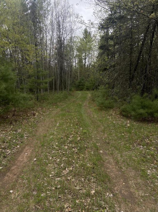 Lt0 Barker Road, Home with 0 bedrooms, 0 bathrooms and null parking in Amberg WI | Image 4