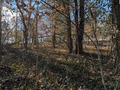 000 St. Cloud Drive, Cape Fair, MO, 65624 | Card Image