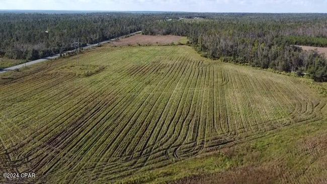00 State Road 71 N, Home with 0 bedrooms, 0 bathrooms and null parking in Altha FL | Image 6