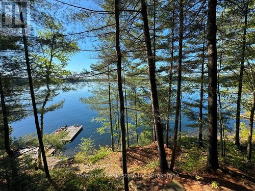 10789 Moorlands Bay (Wao), Algonquin Highlands (Sherborne), ON, P0A1E0 | Card Image