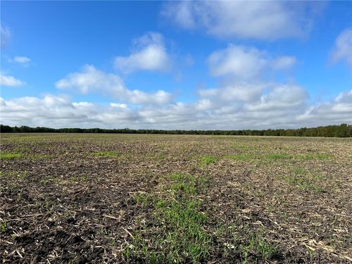 TBD County Road 117, Rogers, TX, 76569 | Card Image