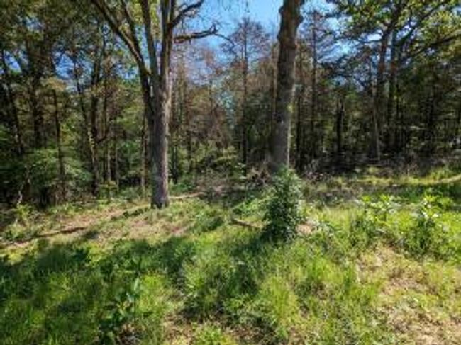 27B & 28B Shelby Lane, Home with 0 bedrooms, 0 bathrooms and null parking in Cecil AR | Image 29
