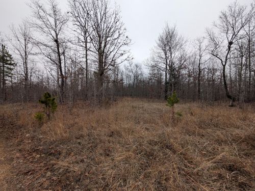 10648 Sydney Ln, Birch Tree, MO, 65438-8955 | Card Image