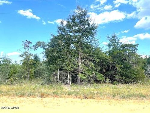 0 Fairway Dr, Marianna, FL, 32448 | Card Image