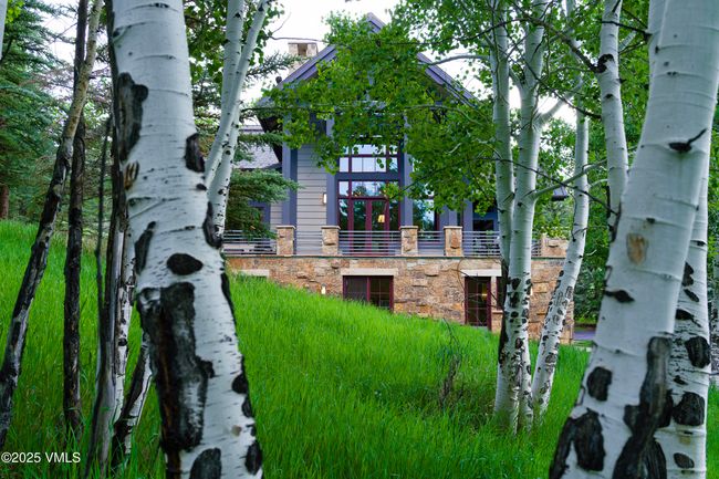 Expansive Aspen Laden Lot on 1.8 Acres. | Image 56