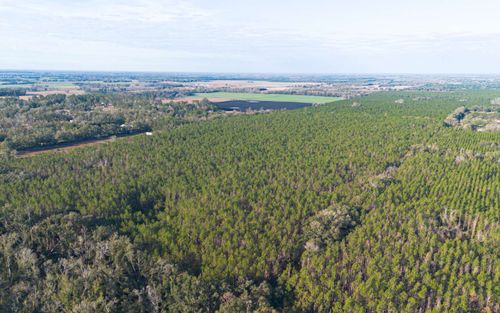 TBD 161st Rd, Live Oak, FL, 32060 | Card Image