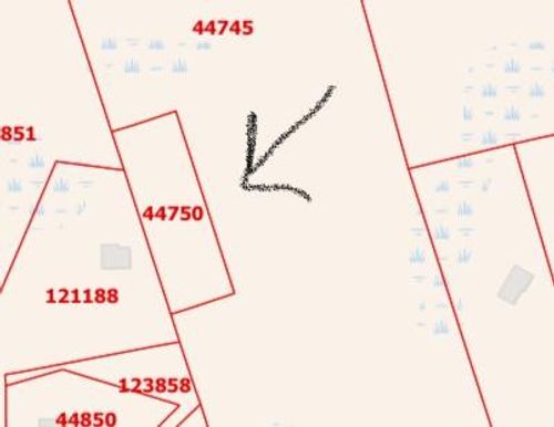 FM 223 Fm 223 Rd, Shepherd, TX, 77371 | Card Image