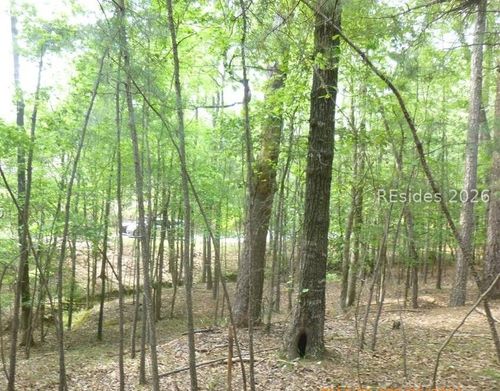 Lot 8 Block 15 Colleen Port, McCormick, SC, 29835 | Card Image