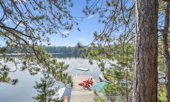 1176 Mccomb Point Dr, House other with 3 bedrooms, 3 bathrooms and 6 parking in Dorset ON | Image 43