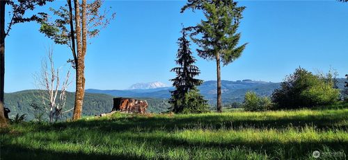 132 Salem Plant Rd, Silver Creek, WA, 98585-9602 | Card Image