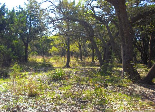 2024 Fm 3424, Canyon Lake, TX, 78133-2250 | Card Image