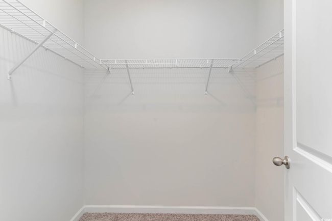 Spacious closet with carpet | Image 14