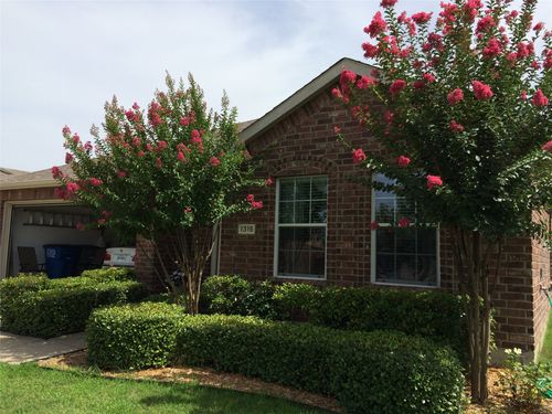 1315 Huntsville Dr, Wylie, TX, 75098-8454 | Card Image