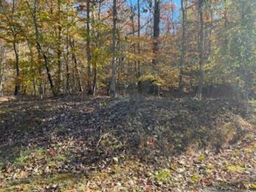 0 Julius Bridge Rd, Ball Ground, GA, 30107 | Card Image