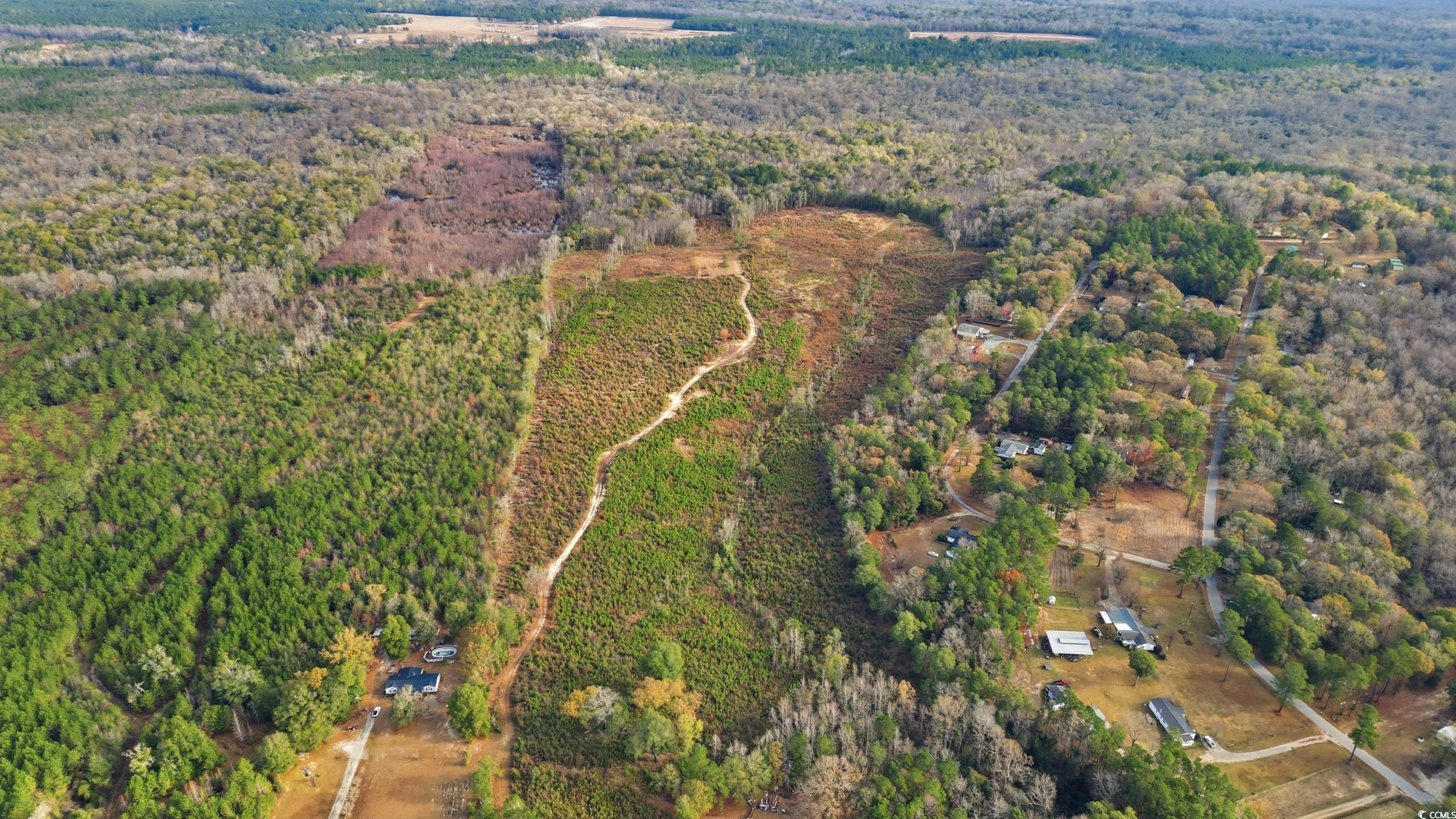 Land in Pamplico 5